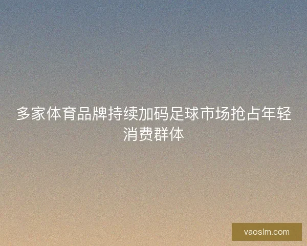 多家体育品牌持续加码足球市场抢占年轻消费群体 多家体育品牌持续加码足球市场抢占年轻消费群体